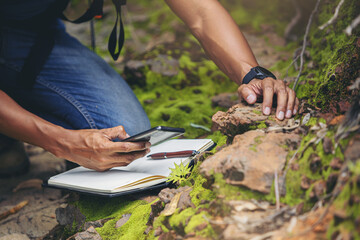 Biologist or botanist recording information about small tropical plants in forest. The concept of hiking to study and research botanical gardens by searching for information. - Powered by Adobe