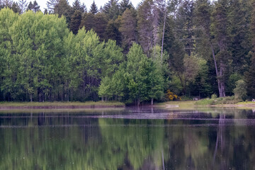 Fototapeta na wymiar glassy still lake reflecting forest and park