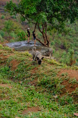 Rest day, camping tent see the beautiful nature