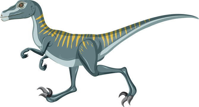 Velociraptor dinosaur on white background