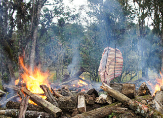 Cstela de chão, churrasco típico do sul do Brasil, carne sendo assada em espeto na fogueira