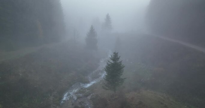 Misty autumn forest in the mountains on a gloomy day.