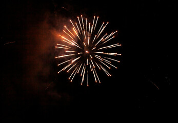 fireworks in the night sky during the holiday