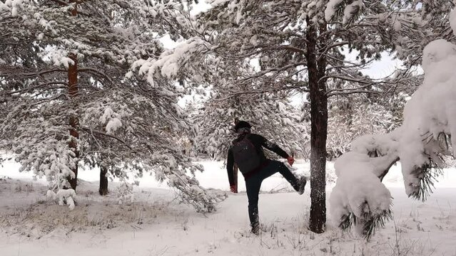 Erzurum In Turkey.
Man Having Some Fun By Kicking A Snow Covered Tree.
Pine Forest In Cold Weather -50°C During Winter.
Adult Person Ventures Into The Woods Alone.
Wild Nature, Wildlife.
Funny