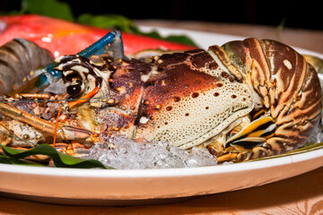 fresh steamed lobster on a plate