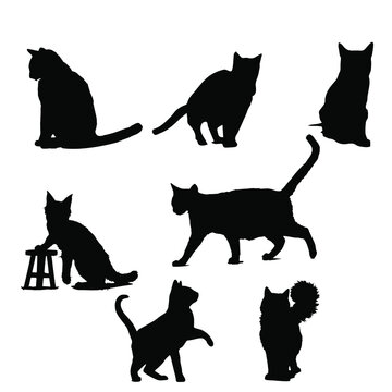 cat and dog silhouettes