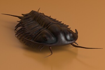3d Render of the extinct trilobite, olenoides serratus, one of the earliest known arthropods. Trilobites were among the most successful of all early animals, existing in oceans for almost 270 million 