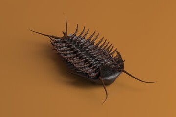 3d Render of the extinct trilobite, olenoides serratus, one of the earliest known arthropods. Trilobites were among the most successful of all early animals, existing in oceans for almost 270 million 