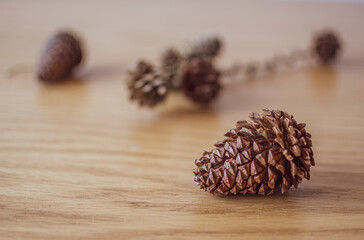 Natural brown pine cone closeup. Dried textured pinecone from a coniferous tree. Plant seed on wooden surface. Selective focus on the details, blurred background.