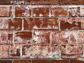 Red industrial weathered brick wall detail with chipping white paint texture