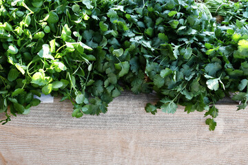 Fresh market parsley on a rustic jute table cloth