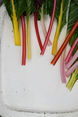 Swiss chard, a nutritious multicoloured vegetable rainbow background