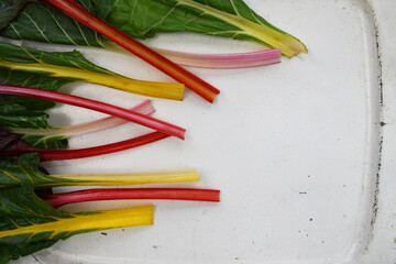 Swiss chard, a nutritious multicoloured vegetable rainbow background