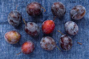 Heap assortment of fresh plums on a blue textured kitchen towel 