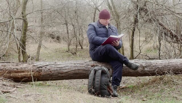 a traveler reads a book with interest in the forest sitting on a fallen pine tree