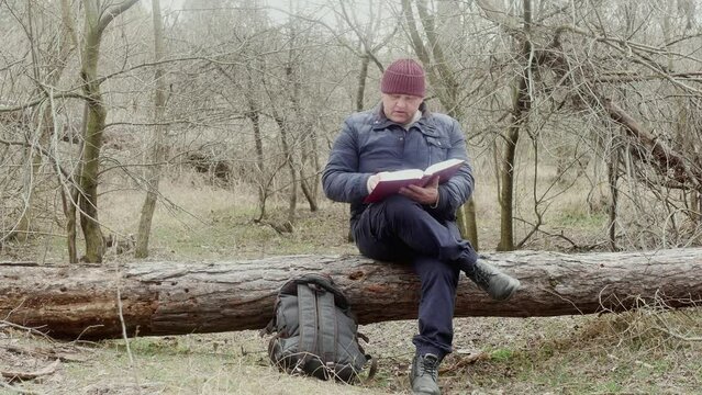 tourist reads a book in the forest sitting on a fallen pine tree