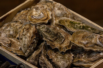 Closeup of Oysters in their shell at a food market