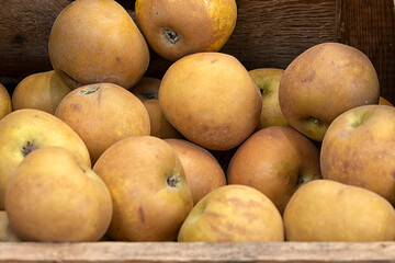 Closeup of Russet Apples at a farmers market