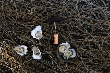 Group assembly of fresh oysters rustic still life on a vintage weathered fishing net and antique tableware