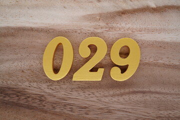 Golden Arabic numerals on a real brown and white wooden floor number 029