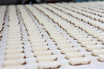 Production of chocolate bars. Confectionery factory.