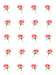 Cute pattern of small roses hand -painted  with watercolor  on a white background.