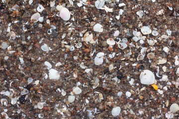 stones on the beach