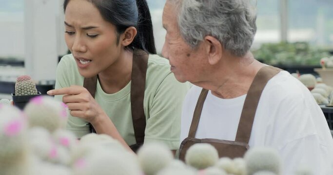 Beautiful asian farmer talking with her grandmother at cactus farm.