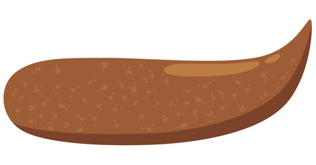 うんちの種類　バナナ状　便の状態