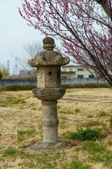 神社の境内を照らす石の灯篭