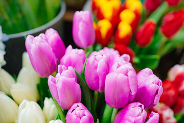 bouquets of pink tulips viewed from above. sale of flowers and bouquets. floristry and making bouquets to order. international women's day. mother's day. valentine's day 