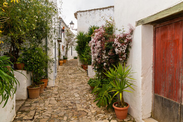 Fototapeta na wymiar narrow pedestrian street lined with plants in the historic center of Castellar de la Frontera