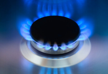 Gas burning in the burner of gas hob