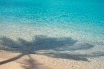 Shadow of a palm tree cast on a tropical beach on Maui