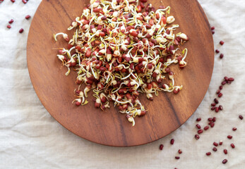 red bean sprouts on wooden plate, sprouted bean on fabric background