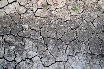 The effects of drought on the earth