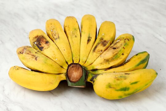 Indonesian Fruit : Pisang Kepok Kuning (Musa acuminata), Yellow Local Banana Isolated on White Marble Table.