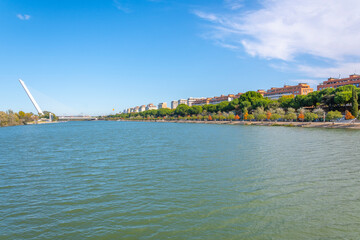 Naklejka premium The modern Alamillo Bridge spanning the Canal de Alfonso along the Guadalquivir River in Seville Spain, with trees showing fall colors at autumn.