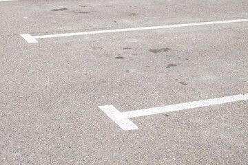 Parking spaces on gray asphalt, marking with white paint.