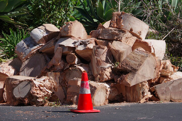 Work site with a safety cone marking a pile of heavy wood chunks from a large tree