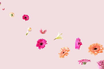 Colorful spring flowers flying in the air on a pink background. Aesthetic surreal flower concept.