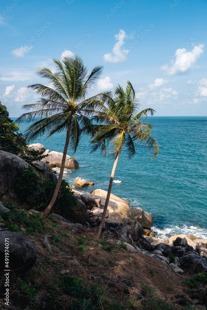 Wall mural two palm trees on the beautiful coast of the sea with turquoise water