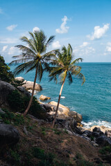Fototapeta na wymiar Two palm trees on the beautiful coast of the sea with turquoise water