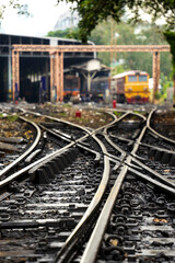 Numerous railroad tracks lead to a train garage