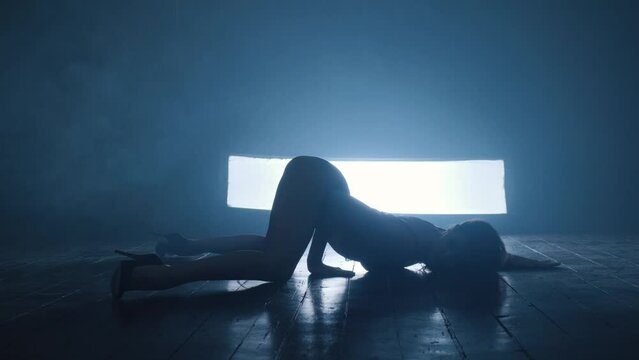 Silhouette of a sexy girl dancing an erotic sensual dance in blue smoke.