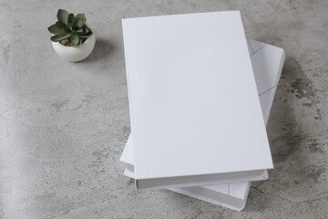 High angle view white cover book with house plant on cement background for mock up