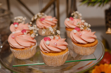 Sweet cakes at a wedding banquet. Catering, sweet festive buffet. Candy bar