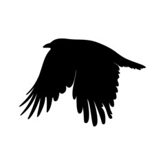 Flying black crow vector silhouette