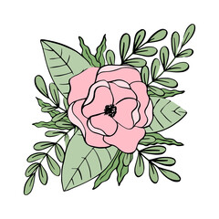 Pale pink magnolia flower with green leaves. Vector illustration isolated on white background. 