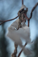 
detail of polluted nature